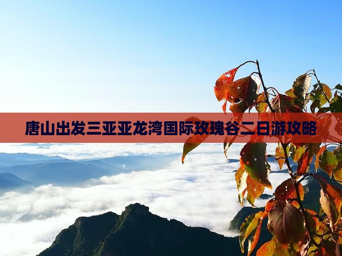 唐山出发三亚亚龙湾国际玫瑰谷二日游