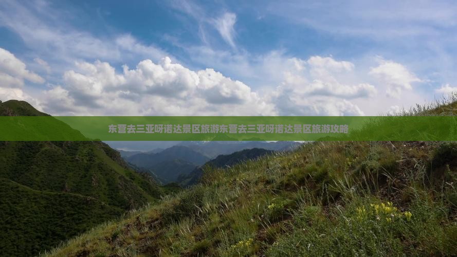 东营去三亚呀诺达景区旅游