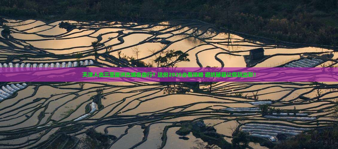 天津去三亚崖洲古城自由行