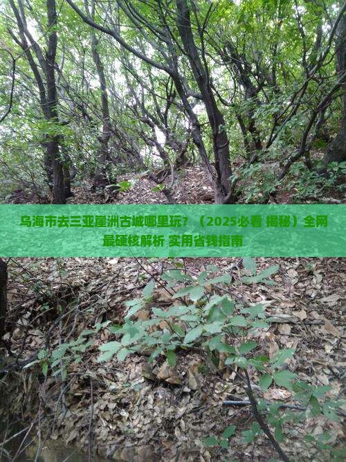 乌海市去三亚崖洲古城哪里玩