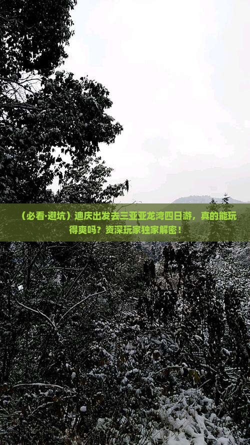 迪庆去三亚亚龙湾四日游