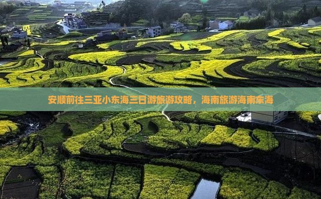 安顺前往三亚小东海三日游