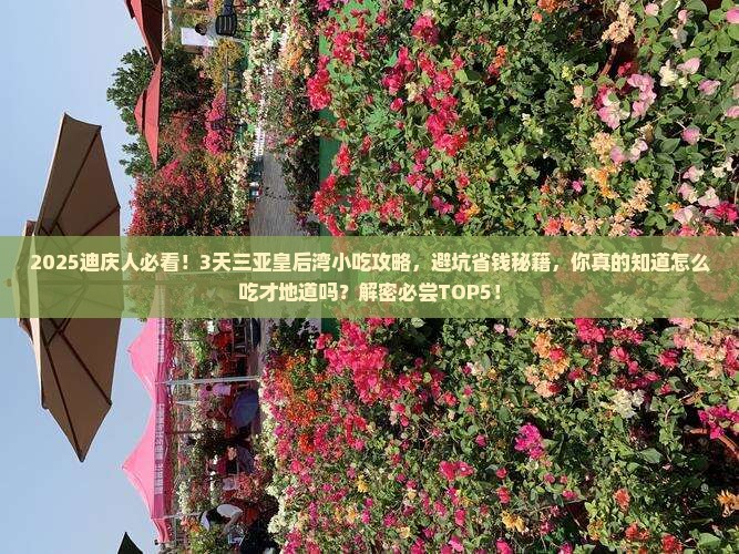 迪庆前往三亚皇后湾旅游小吃