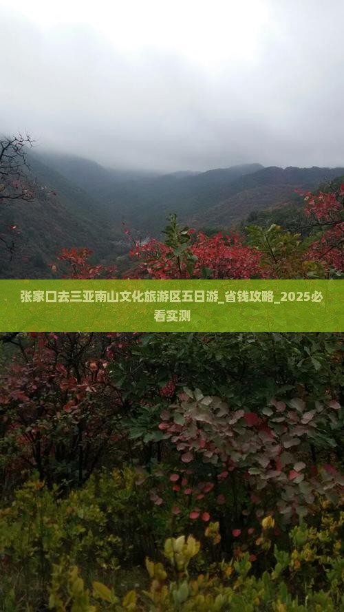 张家口去三亚南山文化旅游区五日游
