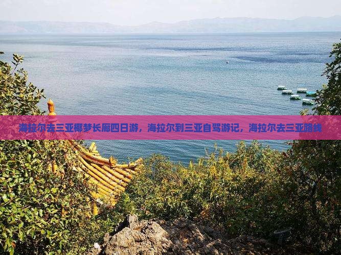 海拉尔去三亚椰梦长廊四日游