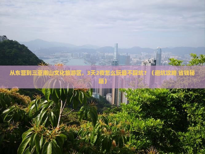 东营去三亚南山文化旅游区旅游