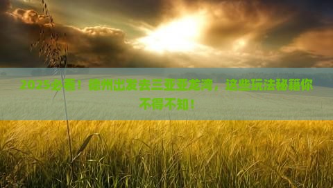 德州前往三亚亚龙湾热带森林公园哪里玩