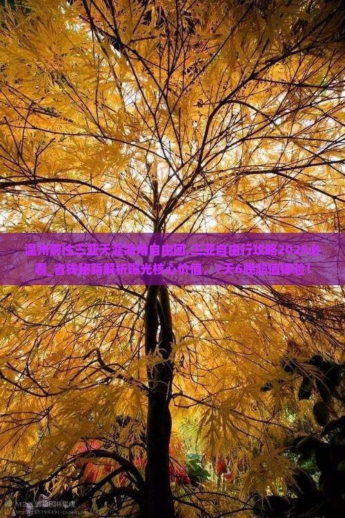 温州前往三亚天涯海角自由团