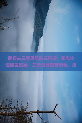 临猗去三亚凤凰岛三日游