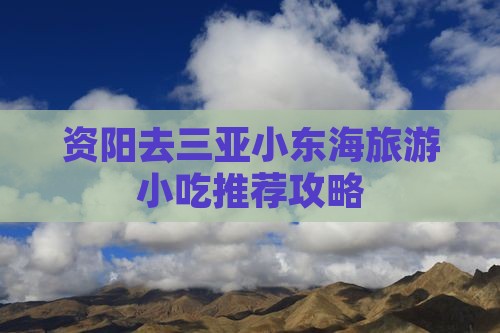 资阳去三亚小东海旅游小吃