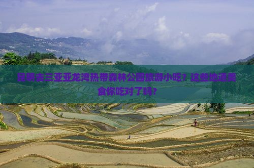 昆明去三亚亚龙湾热带森林公园旅游小吃