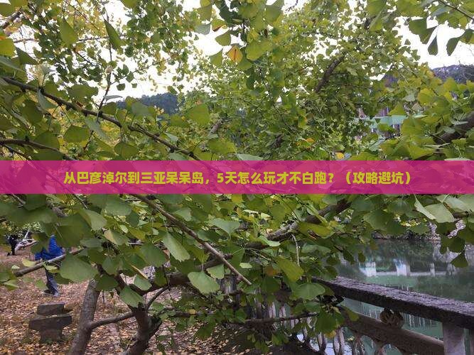 巴彦淖尔去三亚呆呆岛旅游网红地点