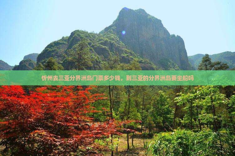 忻州去三亚分界洲岛门票
