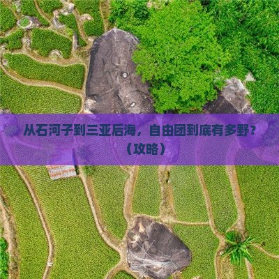 石河子前往三亚后海自由团