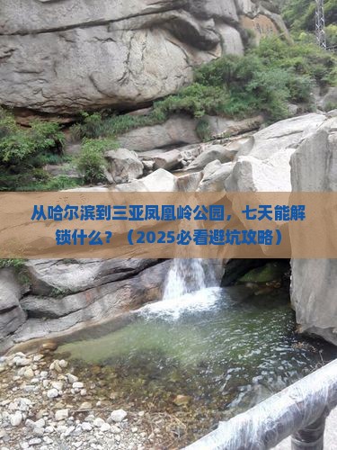 哈尔滨前往三亚凤凰岭公园七日游