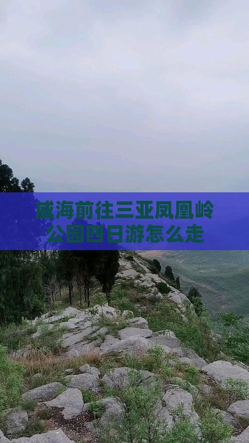 威海前往三亚凤凰岭公园四日游