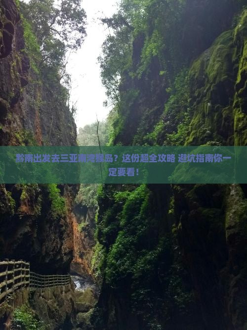 黔南出发三亚南湾猴岛旅行社