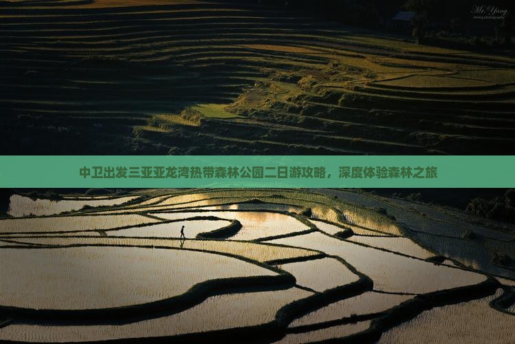 中卫出发三亚亚龙湾热带森林公园二日游