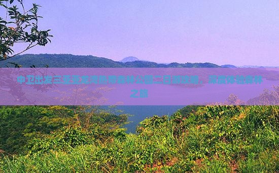 中卫出发三亚亚龙湾热带森林公园二日游