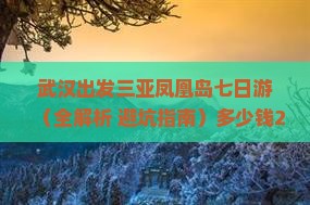 武汉出发三亚凤凰岛七日游