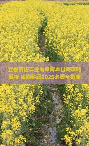 宜春前往三亚海棠湾五日游