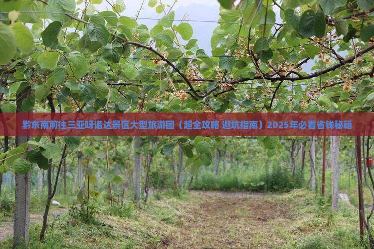 黔东南前往三亚呀诺达景区大型旅游团