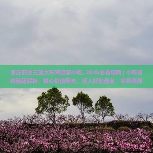 枣庄前往三亚大东海旅游小吃