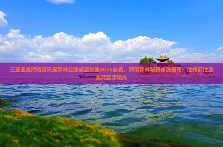 池州前往三亚亚龙湾热带森林公园旅行社