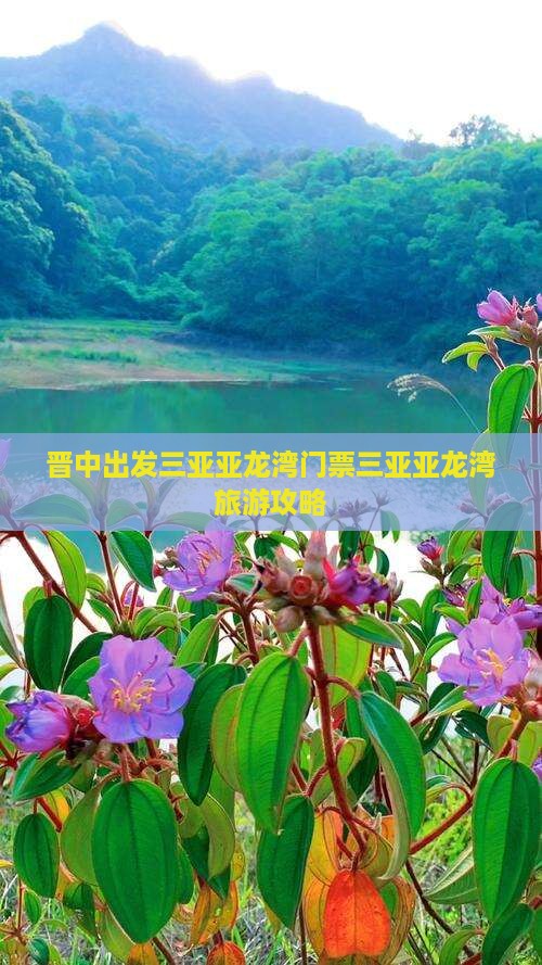 晋中出发三亚亚龙湾门票