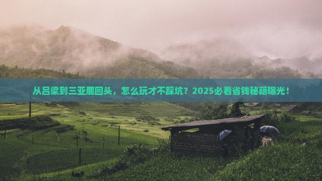 吕梁去三亚鹿回头攻略