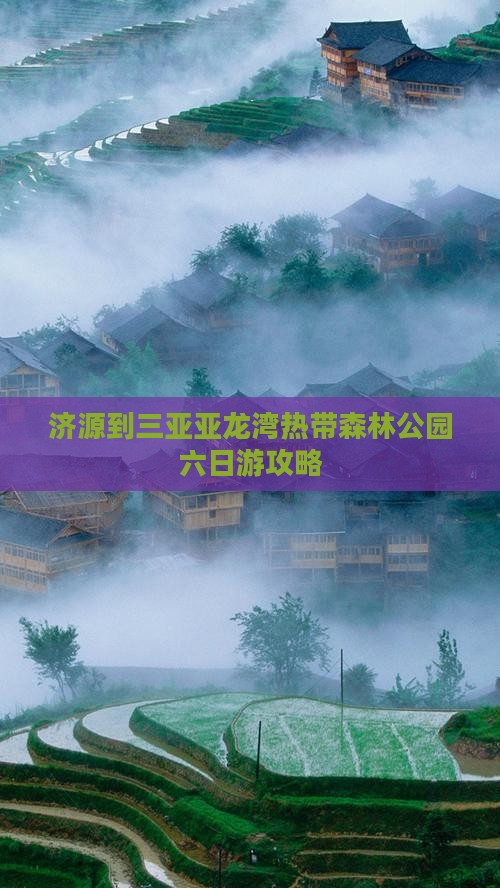 济源去三亚亚龙湾热带森林公园六日游