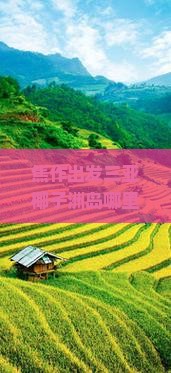 焦作出发三亚椰子洲岛哪里玩