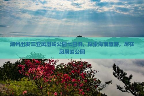 潮州出发三亚凤凰岭公园七日游