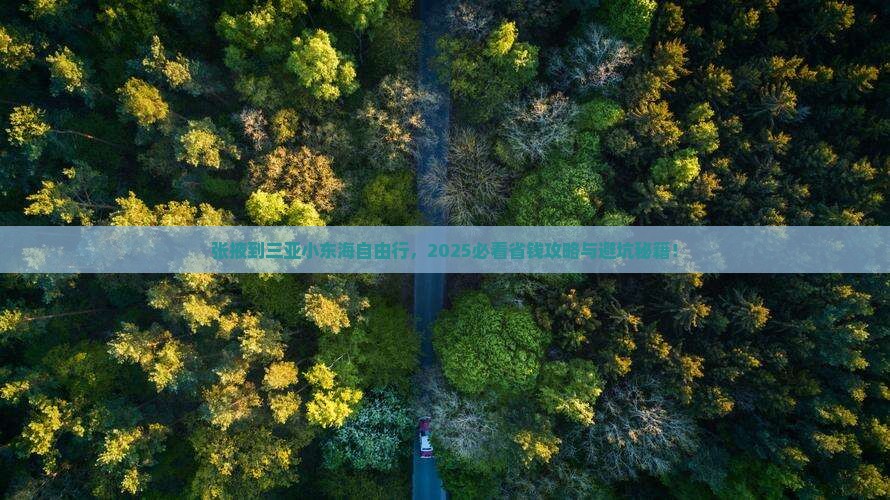 张掖去三亚小东海自由团