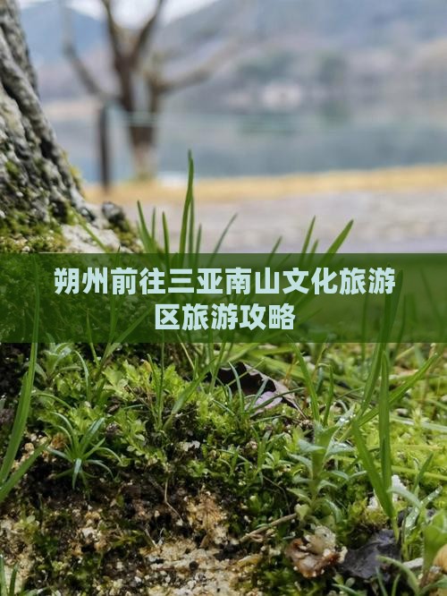 朔州前往三亚南山文化旅游区旅游网红地点