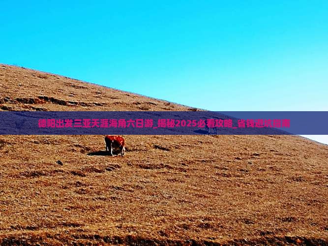 德阳出发三亚天涯海角六日游