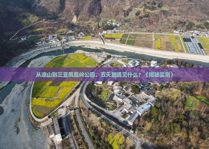 凉山前往三亚凤凰岭公园五日游