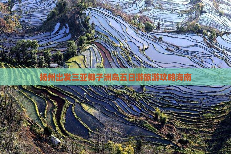 扬州出发三亚椰子洲岛五日游