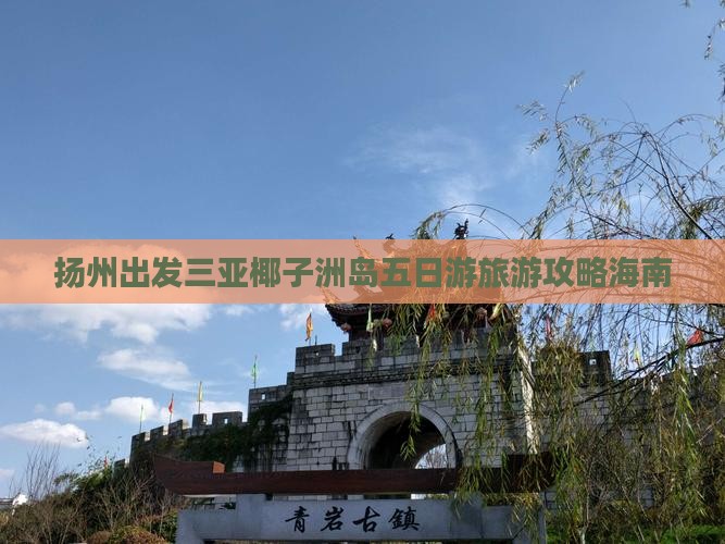 扬州出发三亚椰子洲岛五日游