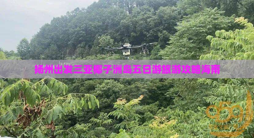 扬州出发三亚椰子洲岛五日游