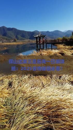 保山出发三亚后海一日游