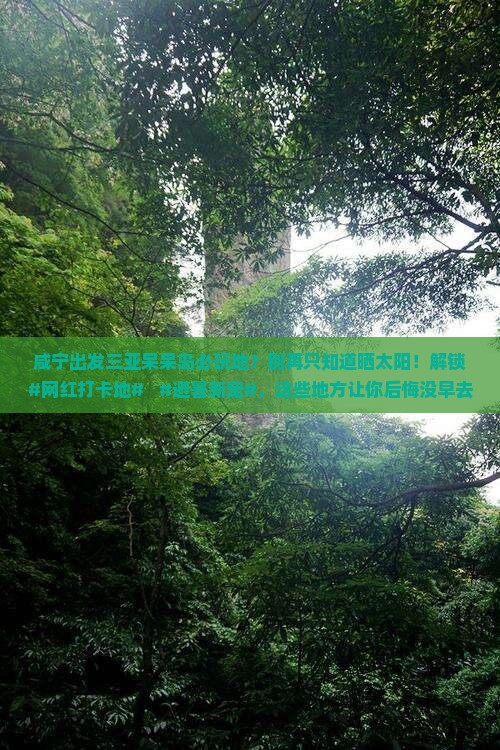 咸宁出发三亚呆呆岛必玩地