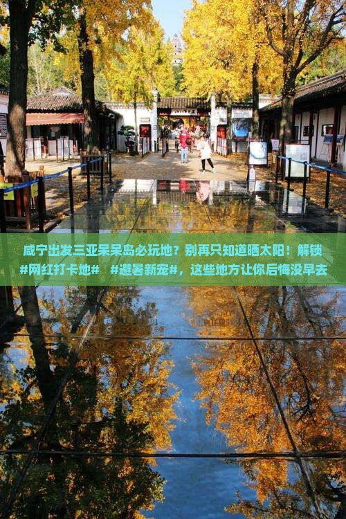 咸宁出发三亚呆呆岛必玩地