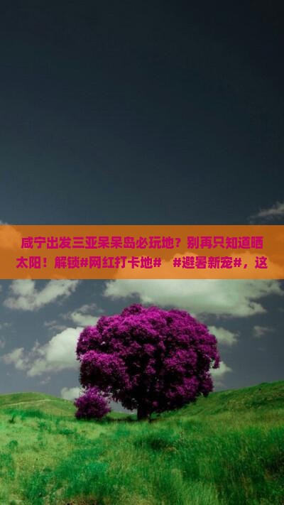 咸宁出发三亚呆呆岛必玩地