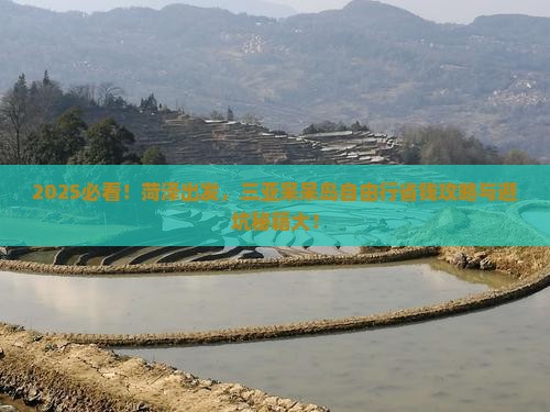 菏泽去三亚呆呆岛自由行