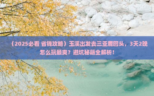 玉溪前往三亚鹿回头旅游