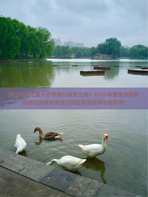 保山前往三亚千古情旅行社 保山前往三亚千古情旅行社