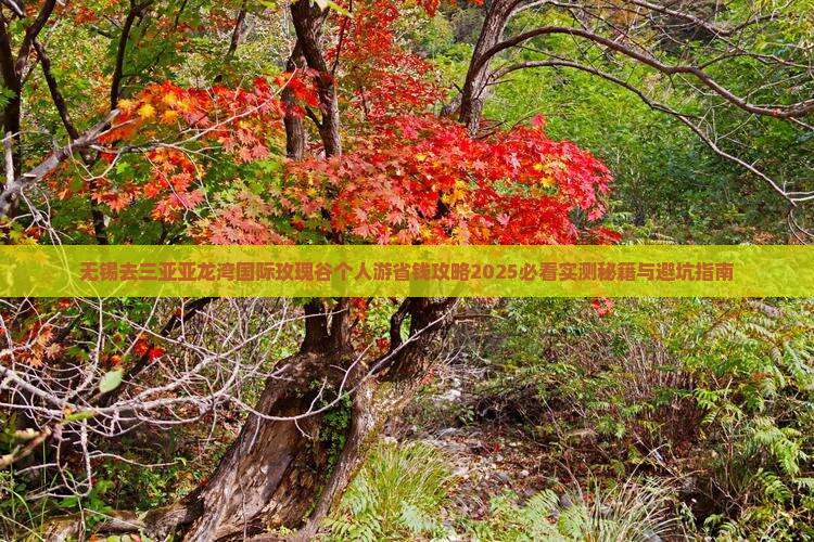 无锡去三亚亚龙湾国际玫瑰谷个人游