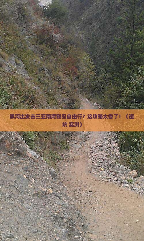 黑河去三亚南湾猴岛自由行