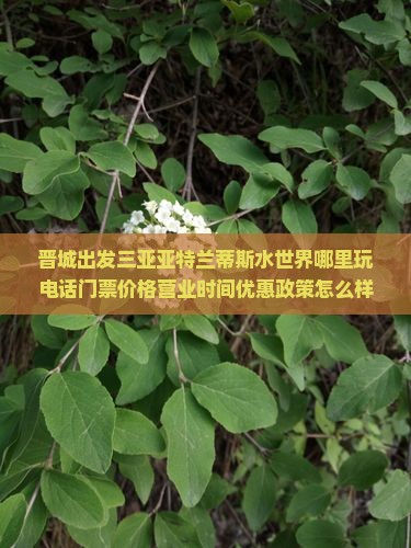 晋城出发三亚亚特兰蒂斯水世界哪里玩
